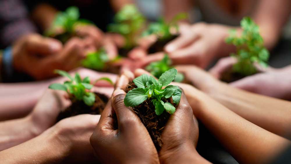 Hands outstretched holding plants